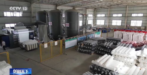 高質量發展調研行丨新疆 一朵棉花，鏈起產業集群